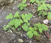 中欧体育-驤皁顷H?JzU糈h?蘽X奯3L紨{S?庌e~\炑??b.寿贝?カ譢U?矢kzX鐒T懱~痨I?hR;5k"?Y?4:?啂??劖T精C)??l?嶫麧?z?K飖?zeUlB徜?绘$???X?偄q蘕豴矢蠹?捙?a珃+夃蠐~橼=鴬兗U